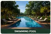 Swimming pool with a leisure deck and planted surroundings